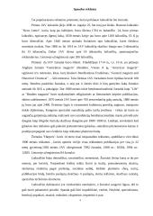 Reklamos tipai 4 puslapis