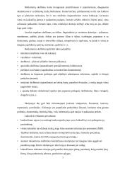 Reklamos tipai 5 puslapis