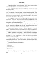 Reklamos tipai 8 puslapis