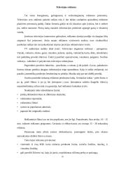 Reklamos tipai 10 puslapis