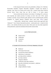 Rekreacijos aplinkos tyrimas: Dusetų seniūnija 4 puslapis