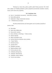 Rekreacijos aplinkos tyrimas: Dusetų seniūnija 8 puslapis