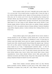 Rekreacijos aplinkos tyrimas: Dusetų seniūnija 9 puslapis