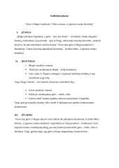 Gėrio ir blogio vaizdiniai I. Mero romane „Lygiosios trunka akimirką“ 3 puslapis