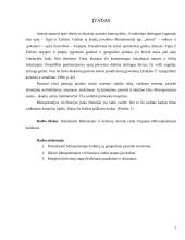 Rekreacijos ir kelionių istorinė raida Tarpupio (Mesopotamijos) kultūrose 2 puslapis