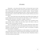 Rekreacijos ir kelionių istorinė raida Tarpupio (Mesopotamijos) kultūrose 16 puslapis