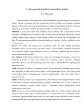 Rekreacijos ir kelionių istorinė raida Tarpupio (Mesopotamijos) kultūrose 3 puslapis