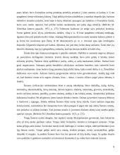 Rekreacijos ir kelionių istorinė raida Tarpupio (Mesopotamijos) kultūrose 8 puslapis