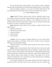 Rekreacijos ir kelionių istorinė raida Tarpupio (Mesopotamijos) kultūrose 10 puslapis