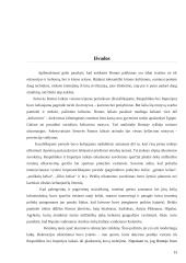 Rekreacijos ir kelionių raida antikinėje Romoje 12 puslapis