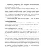 Rekreacinė aplinka 4 puslapis