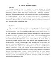 Rekreacinė aplinka 10 puslapis