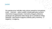 Knygyno "Juodas šuo" analizė 2 puslapis