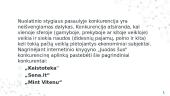Knygyno "Juodas šuo" analizė 11 puslapis