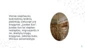 Knygyno "Juodas šuo" analizė 5 puslapis