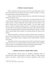 Pilietinės visuomenės reikšmė 3 puslapis