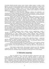 Religinės sektos 3 puslapis