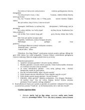 Maironis eilėraščių analizė 11 puslapis