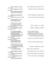 Maironis eilėraščių analizė 6 puslapis