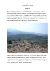 Religinis turizmas 11 puslapis