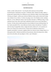 Religinis turizmas 12 puslapis