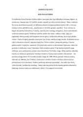 Religinis turizmas 13 puslapis