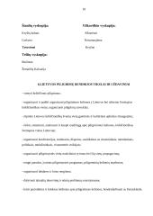 Religinis turizmas 9 puslapis