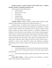 Rėmimo politika įmonėje ir jos funkcijos 8 puslapis