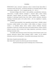 Renesansas dailėje ir architektūroje 2 puslapis