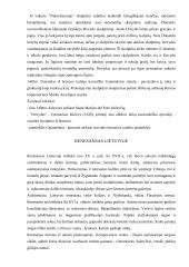 Renesansas dailėje ir architektūroje 17 puslapis