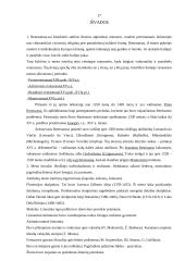 Renesansas dailėje ir architektūroje 19 puslapis