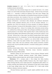 Renesansas dailėje ir architektūroje 7 puslapis