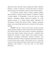 Renesansas kaip atgimimas 6 puslapis