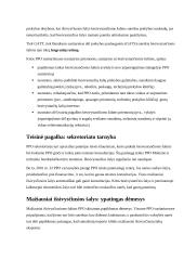 Besivystančių šalių tikslai PPO 2 puslapis