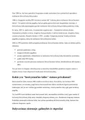 Besivystančių šalių tikslai PPO 3 puslapis