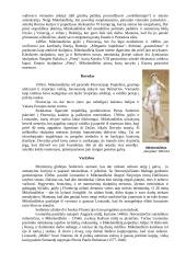 Renesansas ir pagrindiniai Renesanso atstovai 11 puslapis