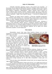 Renesansas ir pagrindiniai Renesanso atstovai 13 puslapis