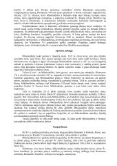 Renesansas ir pagrindiniai Renesanso atstovai 15 puslapis