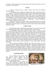 Renesansas ir pagrindiniai Renesanso atstovai 17 puslapis