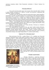 Renesansas ir pagrindiniai Renesanso atstovai 4 puslapis