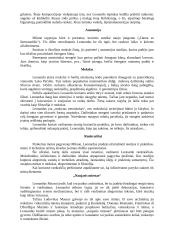 Renesansas ir pagrindiniai Renesanso atstovai 6 puslapis