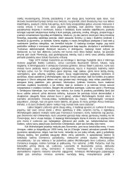 Renesansas. Didieji meno veikėjai 6 puslapis