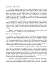 Ląstelinis kvėpavimas konspektas 3 puslapis