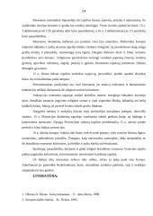 Renesanso tapytojai ir jų kūriniai 15 puslapis