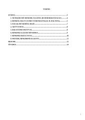 Rinkiminė elgsena Lietuvoje 2 puslapis