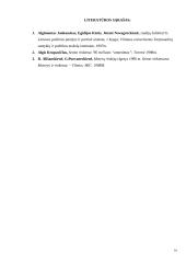 Rinkiminė elgsena Lietuvoje 16 puslapis