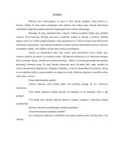 Rinkimų tema Lietuvoje 3 puslapis