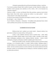 Rinkimų tema Lietuvoje 5 puslapis