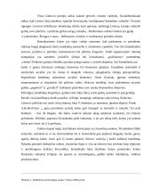 Rinkimų tema Lietuvoje 7 puslapis