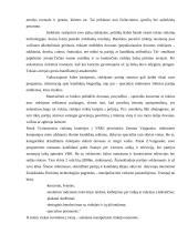 Rinkimų tema Lietuvoje 9 puslapis